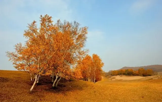 Chengde Fengning Bashang Autumn Travel Guide