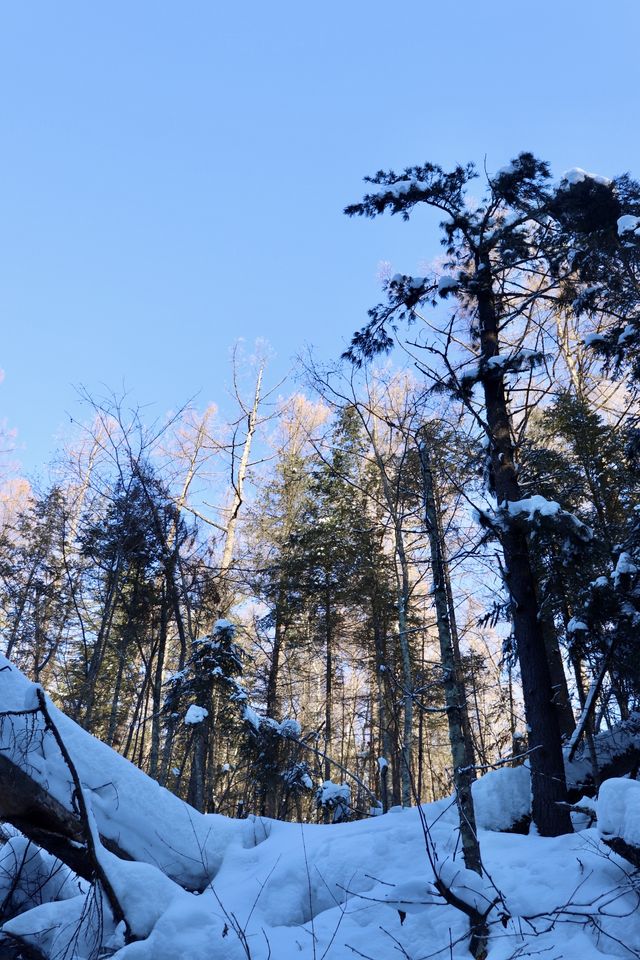 長白山超酷原生態探險體驗｜雪谷穿越、圍爐煮茶