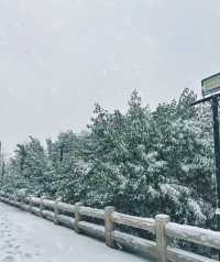 冬日黑虎泉，宛如仙境，不可錯過的雪景！