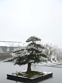 下雪的湖州和西塞山更配哦
