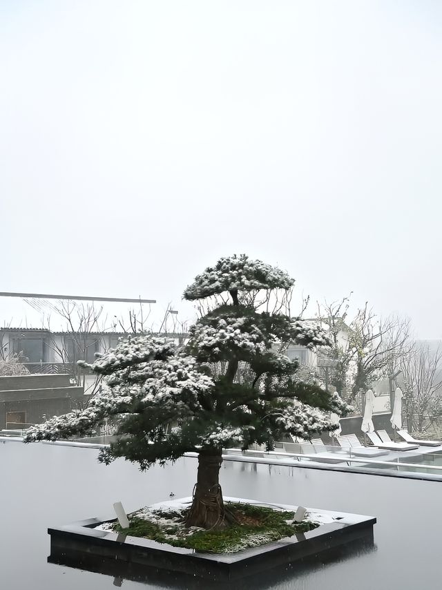 下雪的湖州和西塞山更配哦