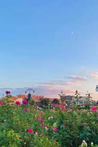 十月份的迪士尼 煙花、晚霞和開心