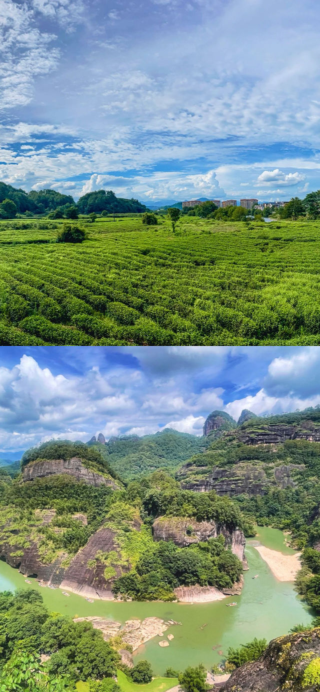 武夷山之行，心靈的九曲之旅