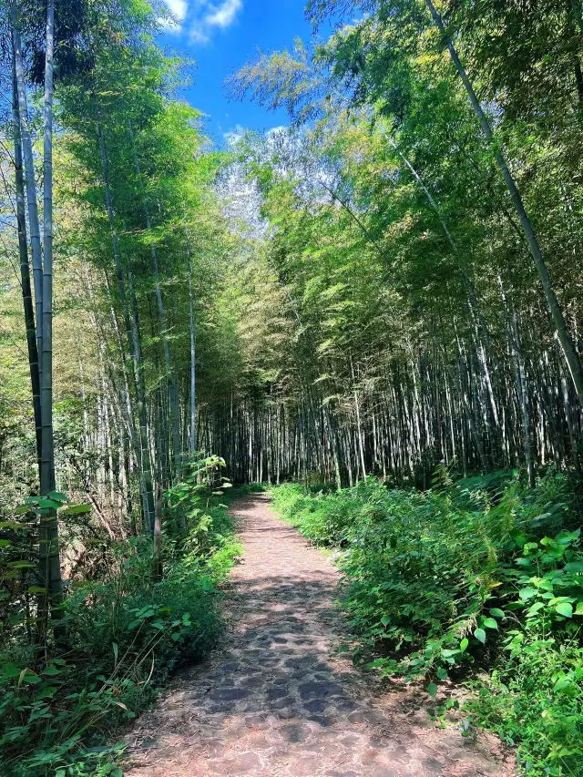 Every Monday Mountain Public|Wushi Ancient Road