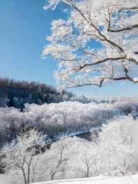 廣東人必去｜高鐵2h直達｜不去北方也能看雪