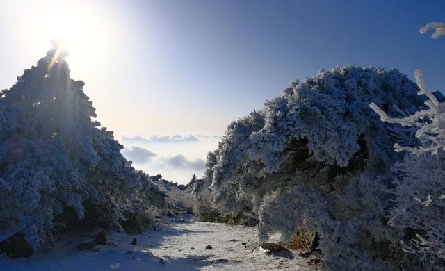 龍王山下雪了！