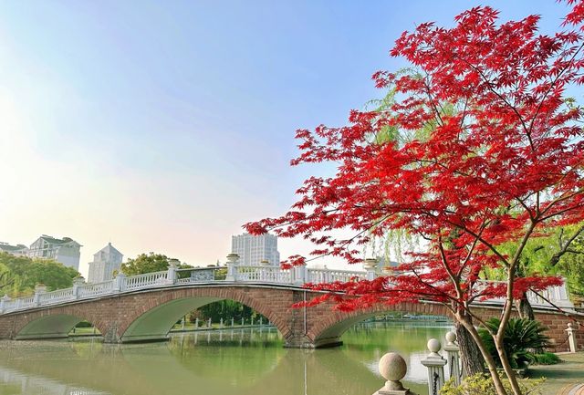 思賢公園|魔都法式公園