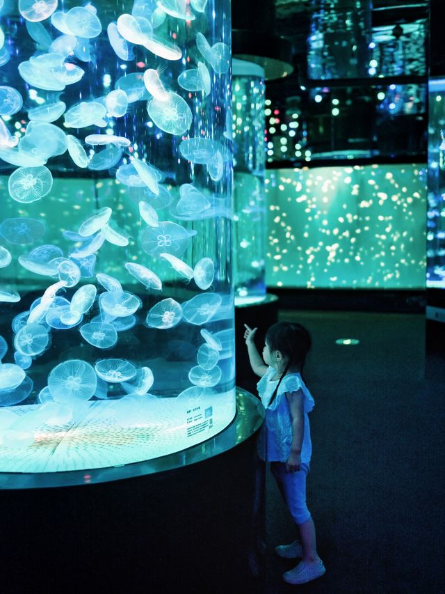 國慶廣州旅遊遛孩子，這個海洋館你不能錯過！