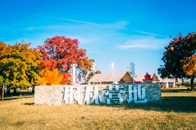 楓從草原來，秋季的楓林草原秋風習習、美不勝收