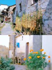 《國家地理》評為中國最美鄉村的婺源有多美