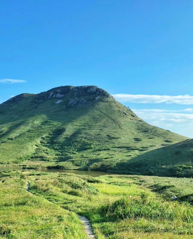 不輸武功山!!霞浦大嵛山島萬畝天然草場