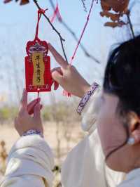 鹽城·龍岡桃花源，獨特新年氛圍感！