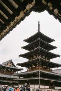 奈良｜除了可愛小鹿，還有世界最古老木建築