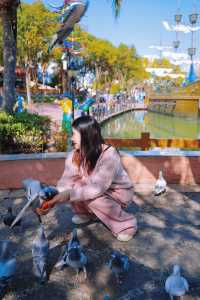 春節帶娃去哪兒溫州樂園親子無刺激攻略，大人小孩都能玩