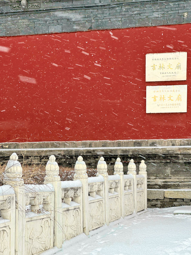 龍年第場雪，我在吉林拍到東方美學