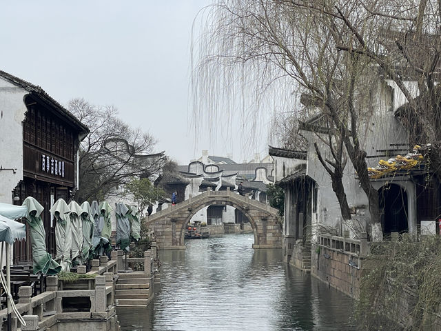 嘉興｜月河歷史街區，居然還有花鳥市場可以逛