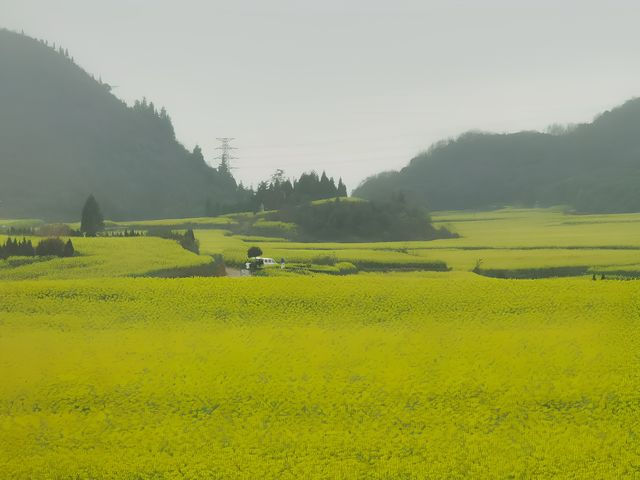 春日萌動，雲南羅平等你來！