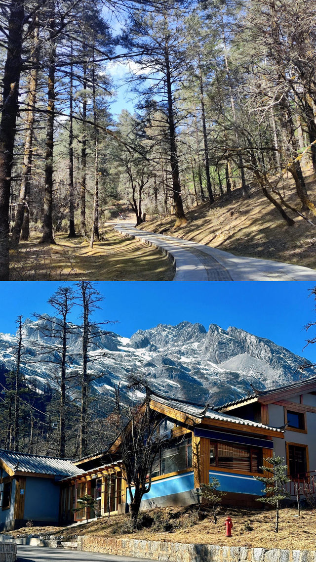 三四月份真的是玉龍雪山的淡季！人少景美！