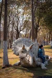 節假日別去自然博物館，顧村公園更香