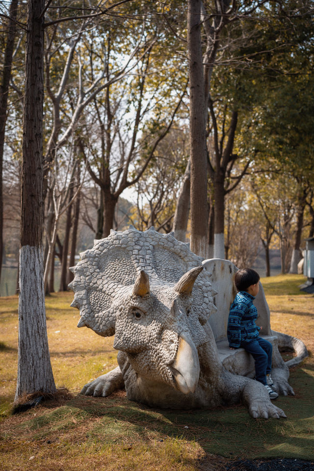 節假日別去自然博物館，顧村公園更香