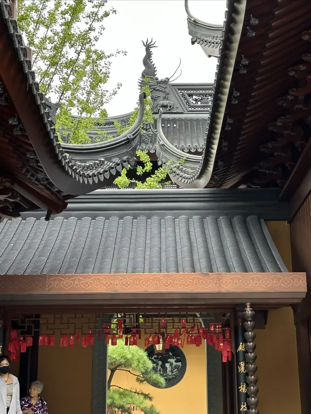 玉佛禅寺免門票了 | 夏日限定的荷花