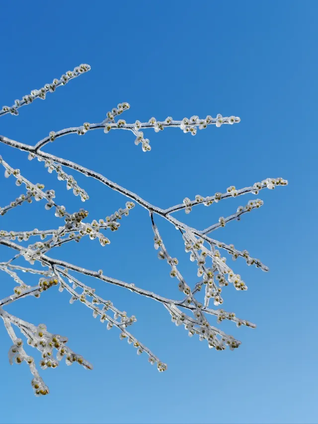 冬天的第一場雪｜我在鸬鳥山看了絕美霧凇