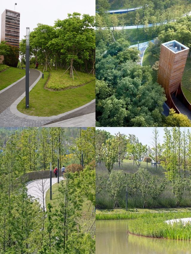 休閒好去處——上海桃浦中央綠地