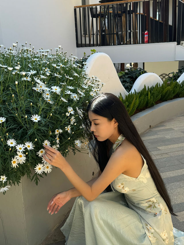 來麗江啦！我好愛這裡的民宿……