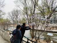 北京紫竹院公園