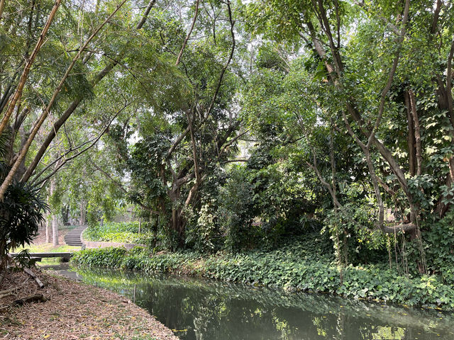 西雙版納熱帶花卉園