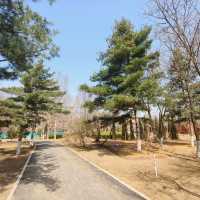 蘇家屯勞動公園