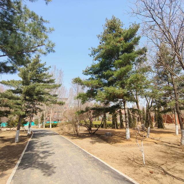 蘇家屯勞動公園