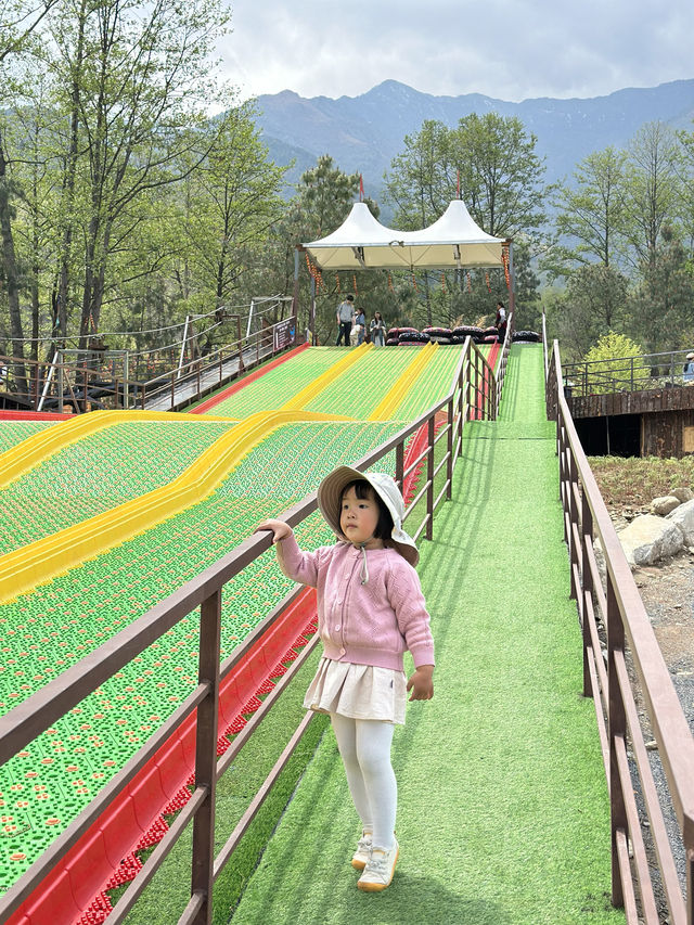 親子打卡｜大理蒼海雲上草原 拍照遛娃寶地