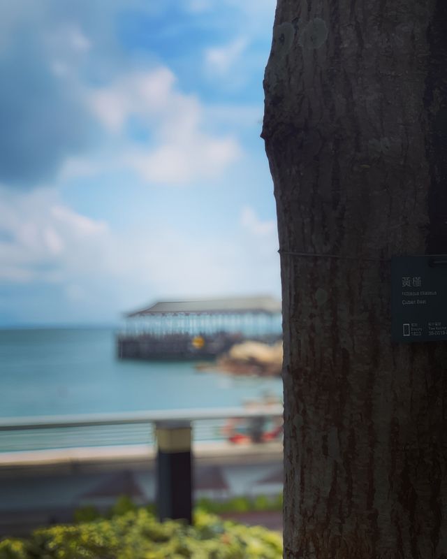 赤柱卜公碼頭|半島街市