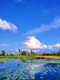長嶺湖～免費體驗避暑，消夏好去處