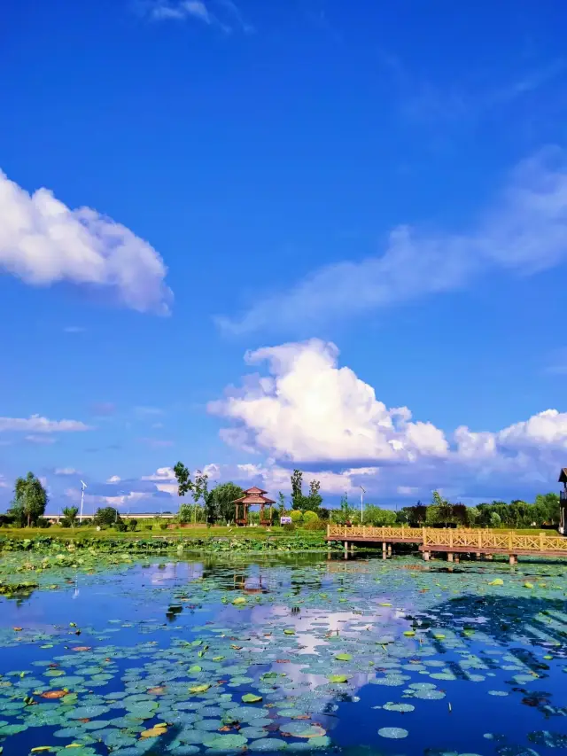 Changling Lake - Enjoy a free summer retreat, a perfect place to cool off