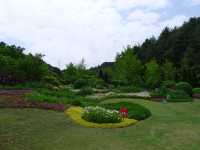 鮮花山谷——登高雲山·雲谷花境
