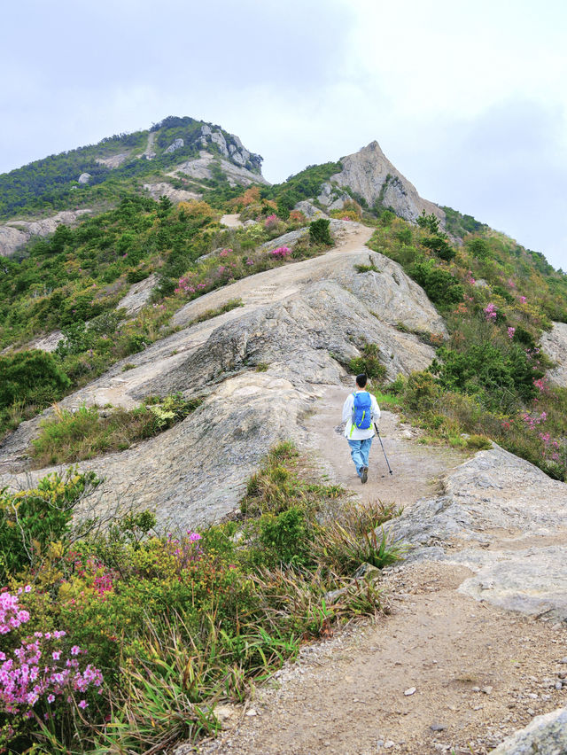 去不了bromo，就來浙江版「麥理浩徑」和「武功山」