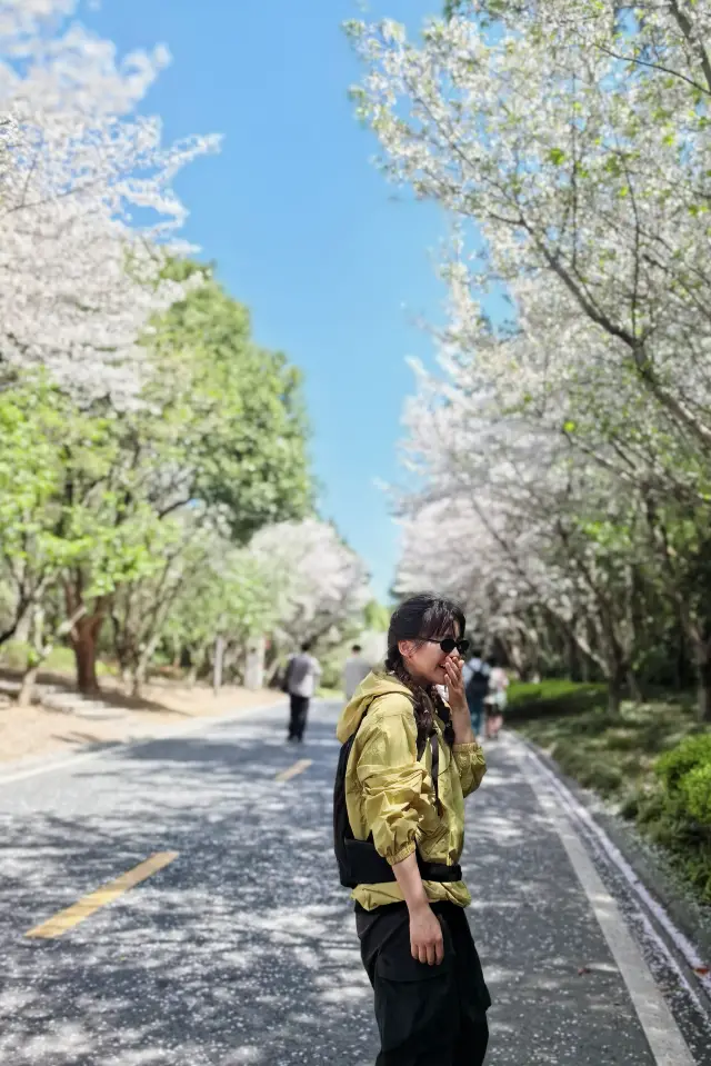 南京の春、花を追いかけるガイド｜牛首山