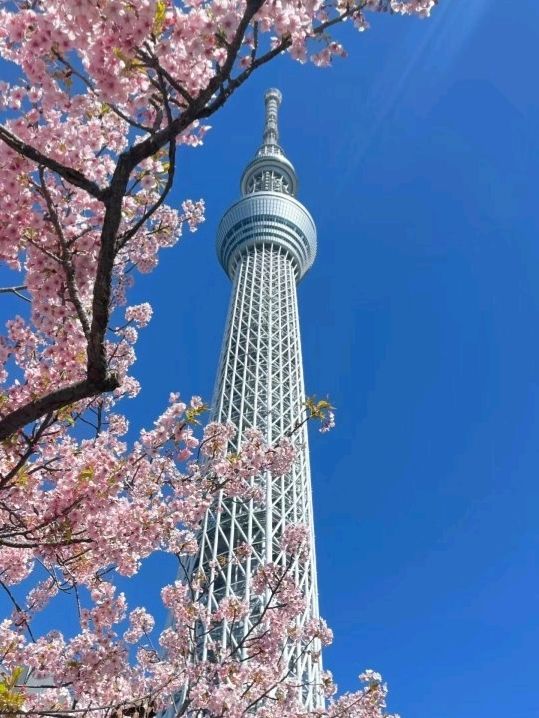 Stunning Exquisite Sky Tree Tokyo🇯🇵♥️😍