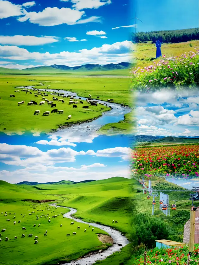 Hebei•Zhangjiakou | Ultimate Guide for a Three-Day Self-Drive Tour during May Day