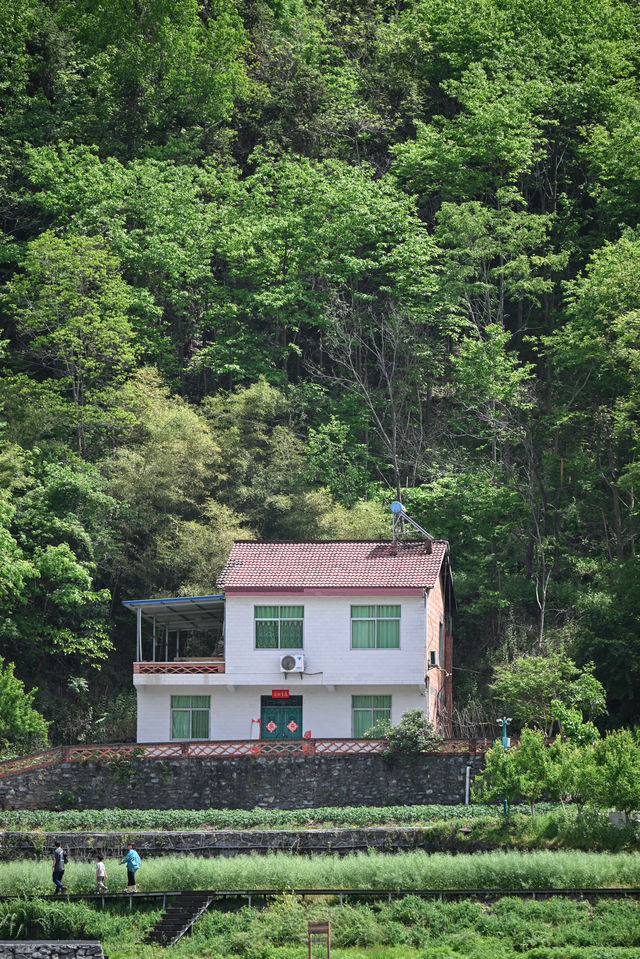 這個小眾又好看的陝南小村子去山野裡避暑