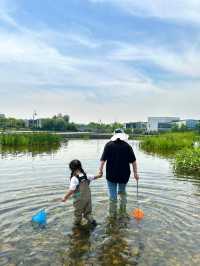 成都遛娃｜捞鱼、摸虾、玩水寶藏公園||