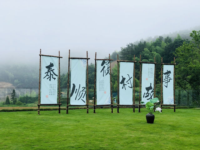 福建人誰還沒去過？筱村公社-繡球花海的浪漫之旅～