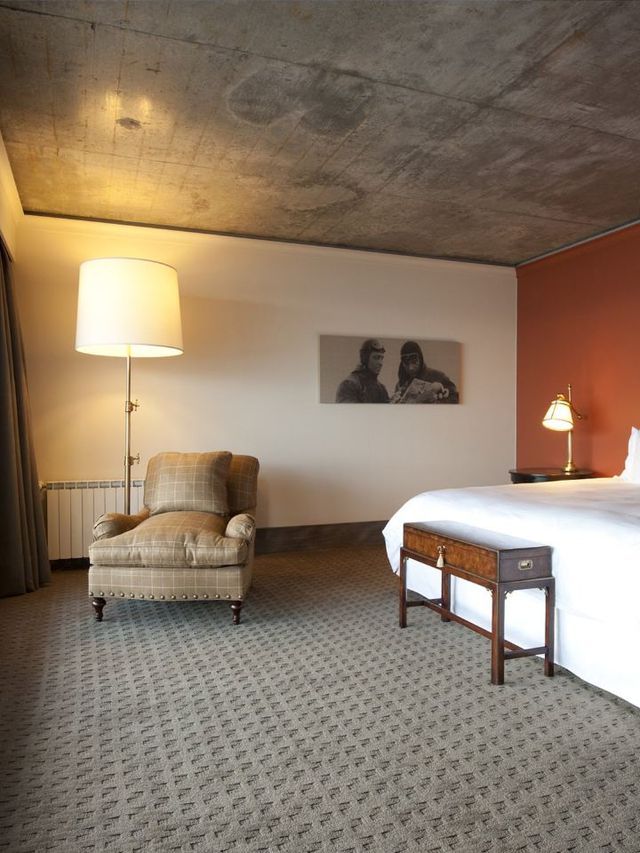 🌟 Patagonia's Gem: Unforgettable Stay at The Singular Hotel 🌟