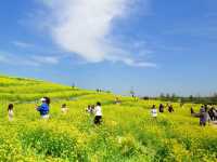 我終於來了任意門的另一邊——芸上梯田