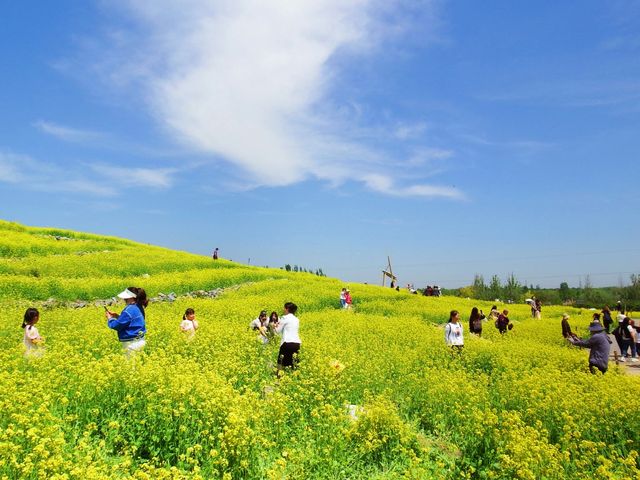 我終於來了任意門的另一邊——芸上梯田