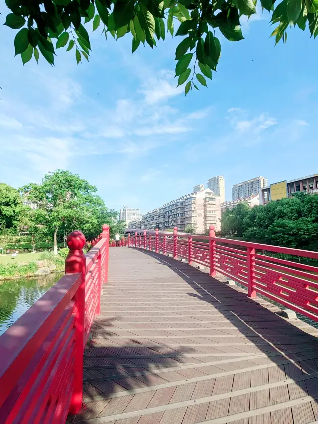 Sakura Park, the premier cherry blossom viewing spot in Ningbo
