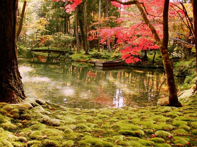Japanese Myst and Moss