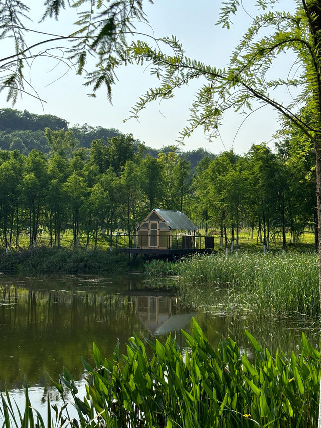 震驚我發現了主城內的寶藏環湖公園